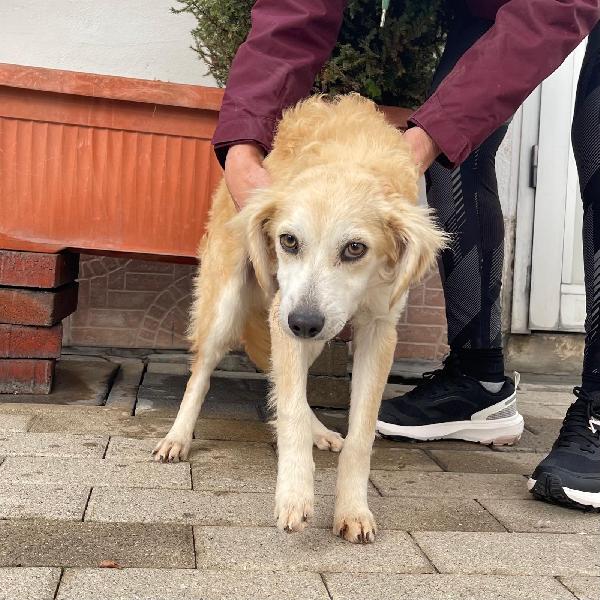 NATHAN  NOAH  NOLAN  Foto 2